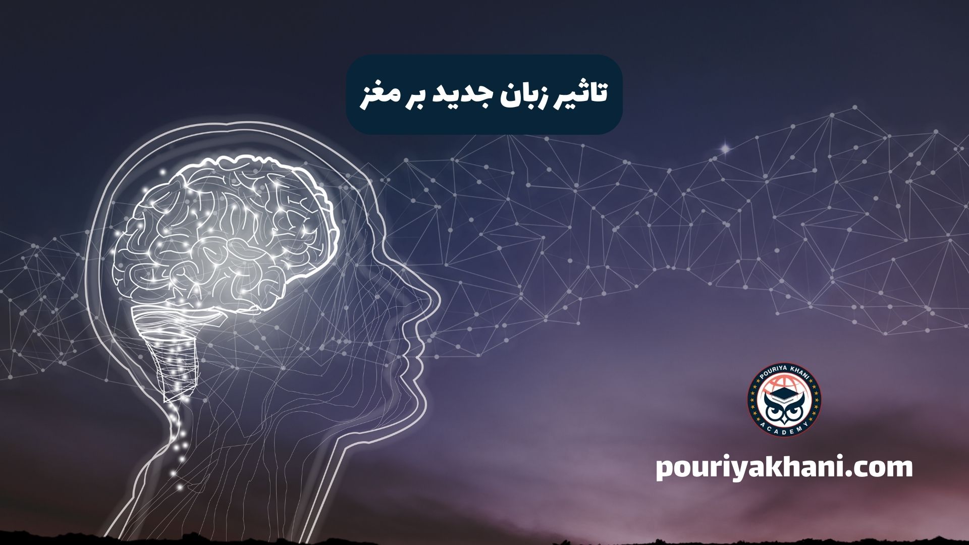 تاثیر زبان جدید بر مغز